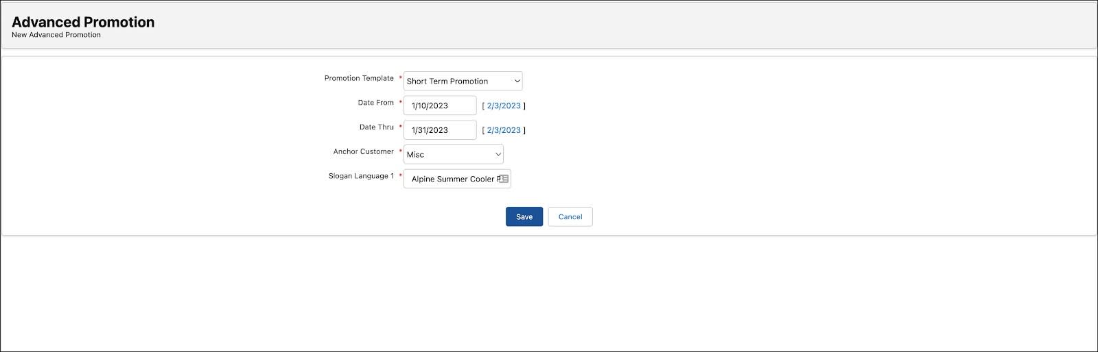 プロモーションを作成するためのオプションが表示されている [New Advanced Promotion (新規の高度なプロモーション)] ページ。