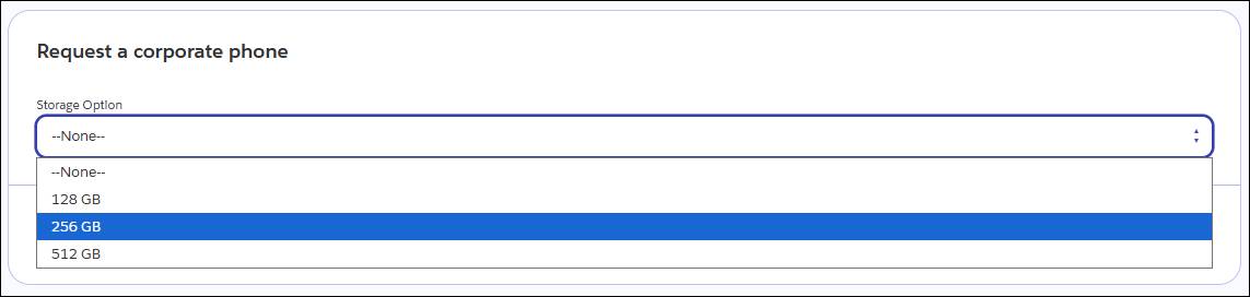 Storage Option picklist.