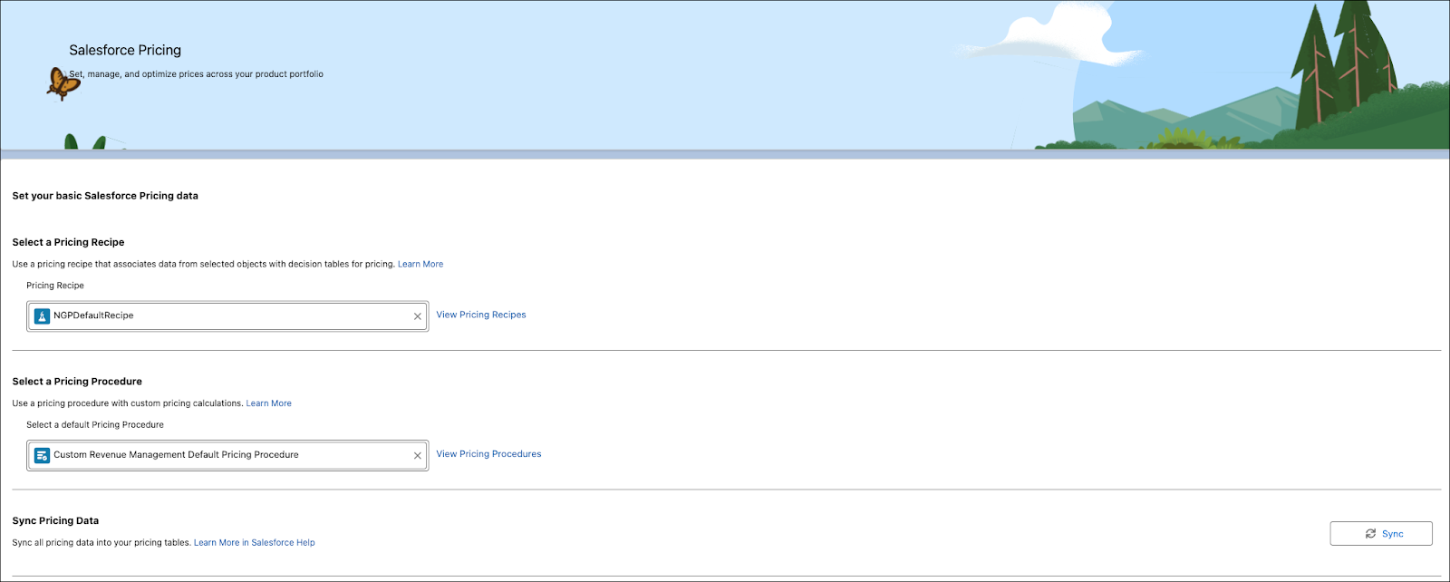 Salesforce Pricing settings.