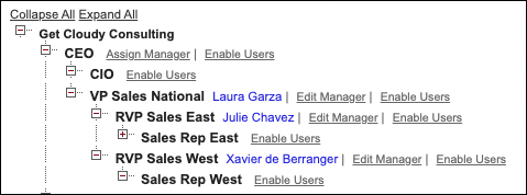 Example forecast hierarchy with assigned forecast managers.