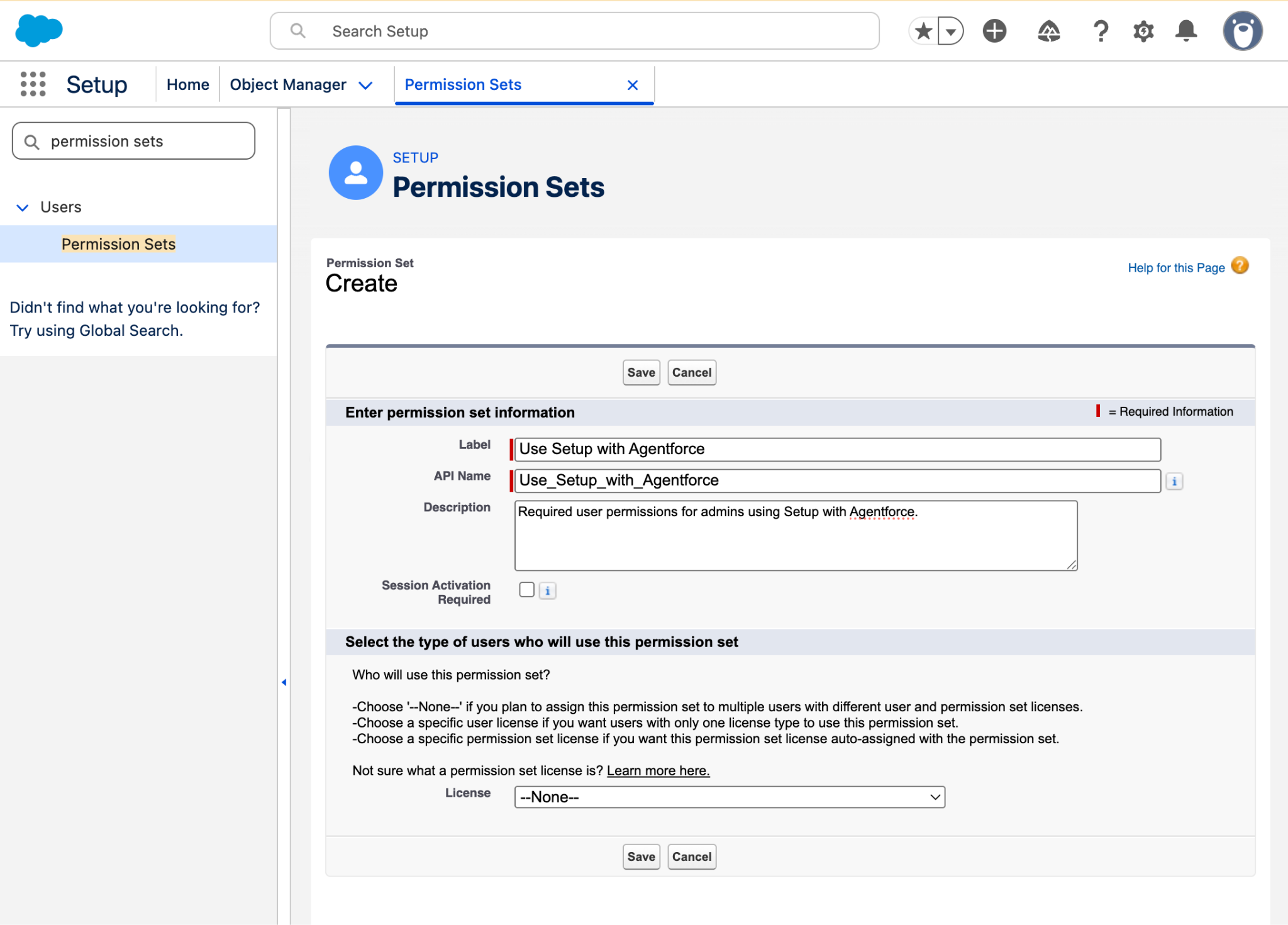 「Use Setup with Agentforce (Agentforce を使用した設定を使用)」権限セットの詳細が表示された権限セット作成ページ。