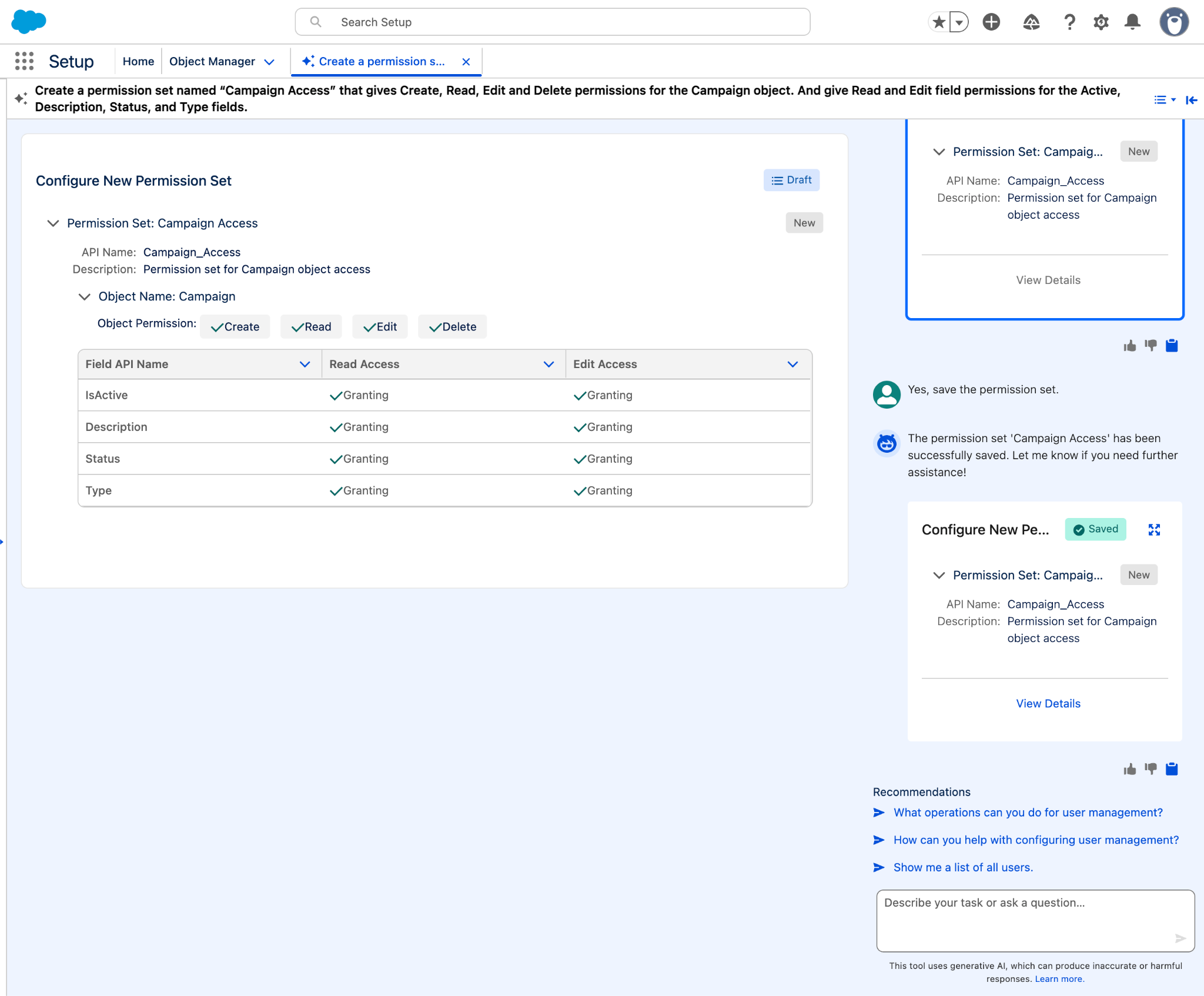 A permission set created by the agent with object and field permissions configured.