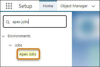 Apex Jobs in the Setup menu.