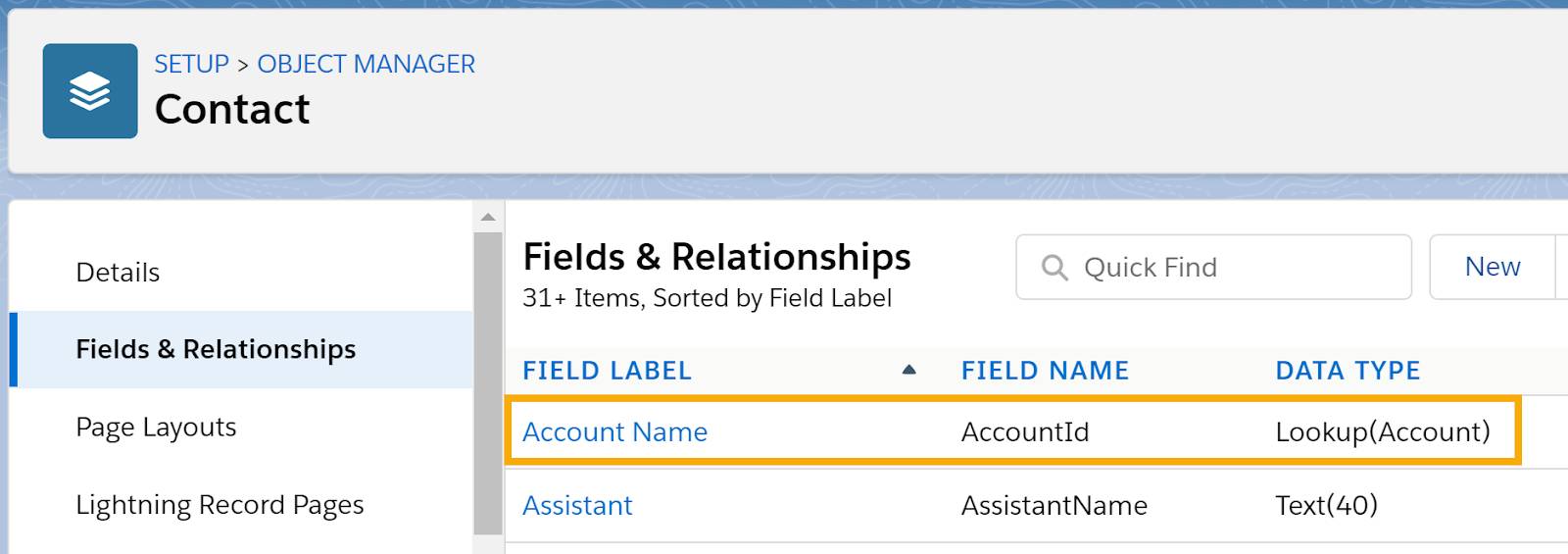 개체 관리자의 Contact(연락처) 개체에 대한 Fields &amp; Relationships(필드 및 관계) 페이지로 하나의 필드가 하이라이트되어 있음. Field Label = Account Name. Field Name = AccountId. Data Type = Lookup(Account).