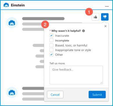 Einstein 反馈框架。