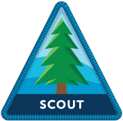 Scout rank art