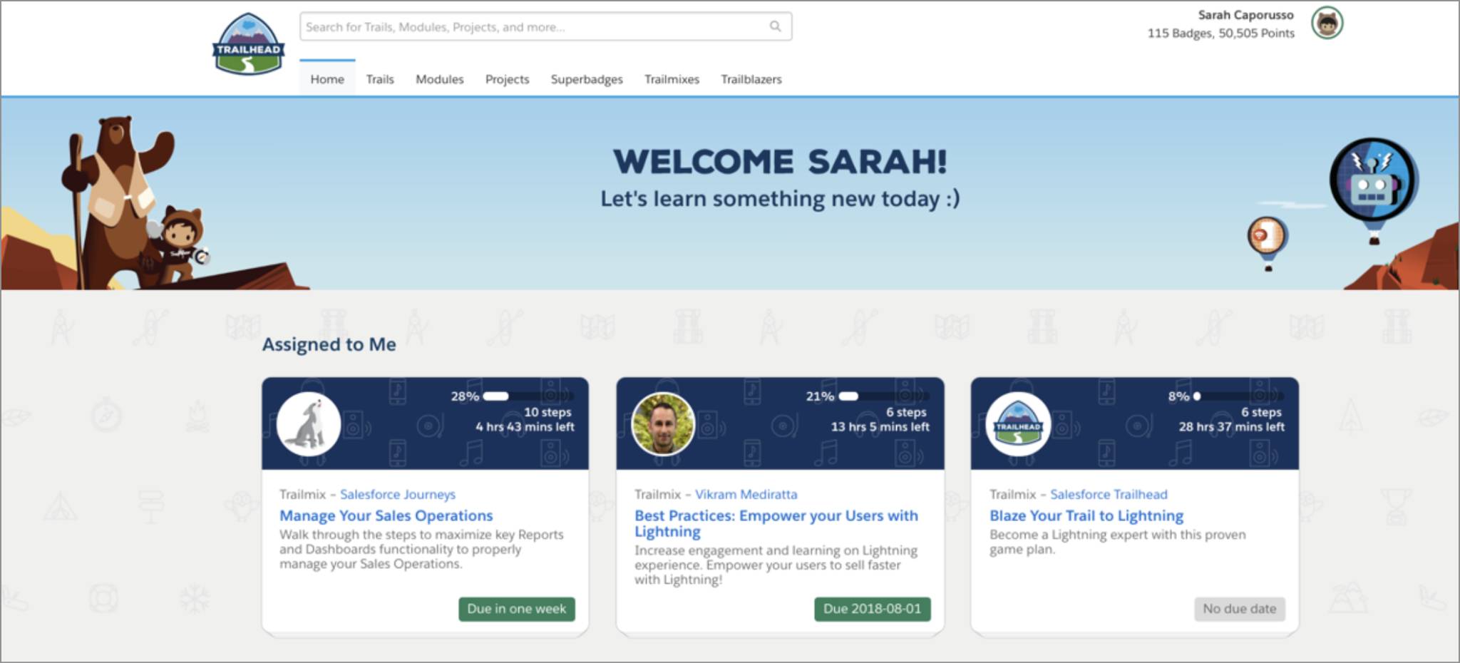 Screenshot of badges assigned to user