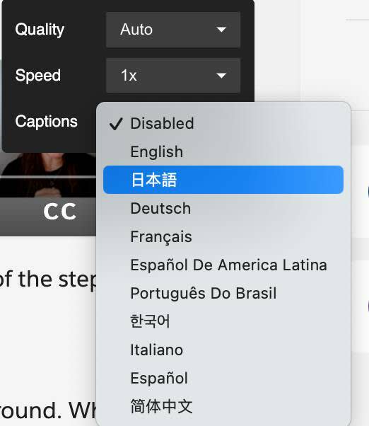 字幕言語ピッカーには、使用可能なすべての言語が表示されます。