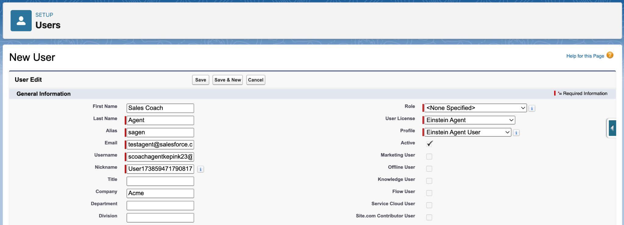 Pagina New User (Nuovo utente) di Setup (Imposta) con i campi dati compilati.