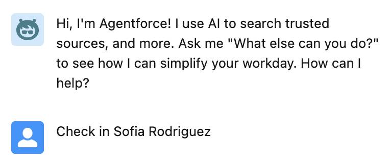 Agentforce conversation pane with a request.
