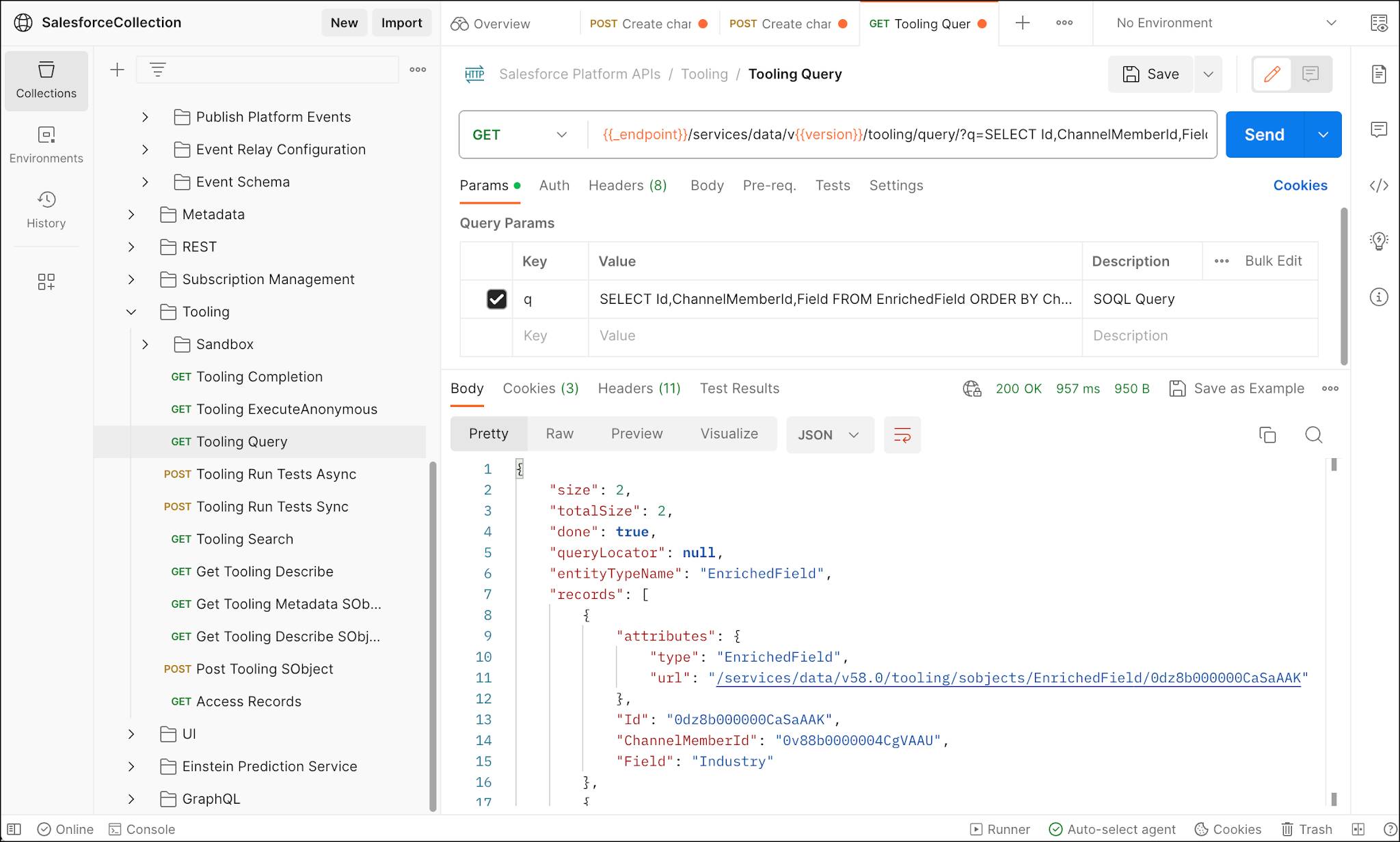 Tooling API query and response in Postman to query enriched fields.
