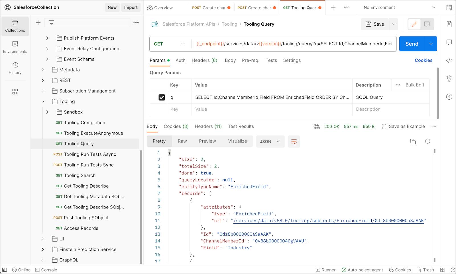 強化された項目を照会するための Postman での Tooling API クエリと応答