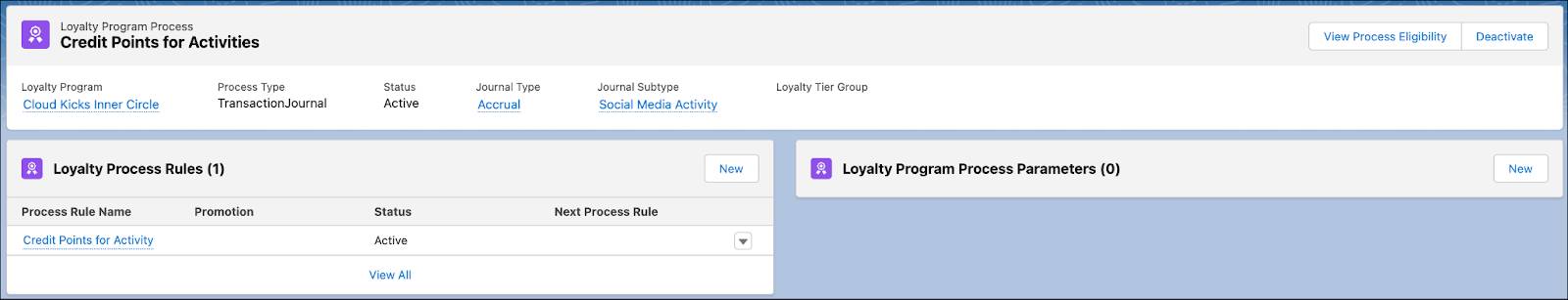 The Credit Points for Activities Loyalty Program Process page.