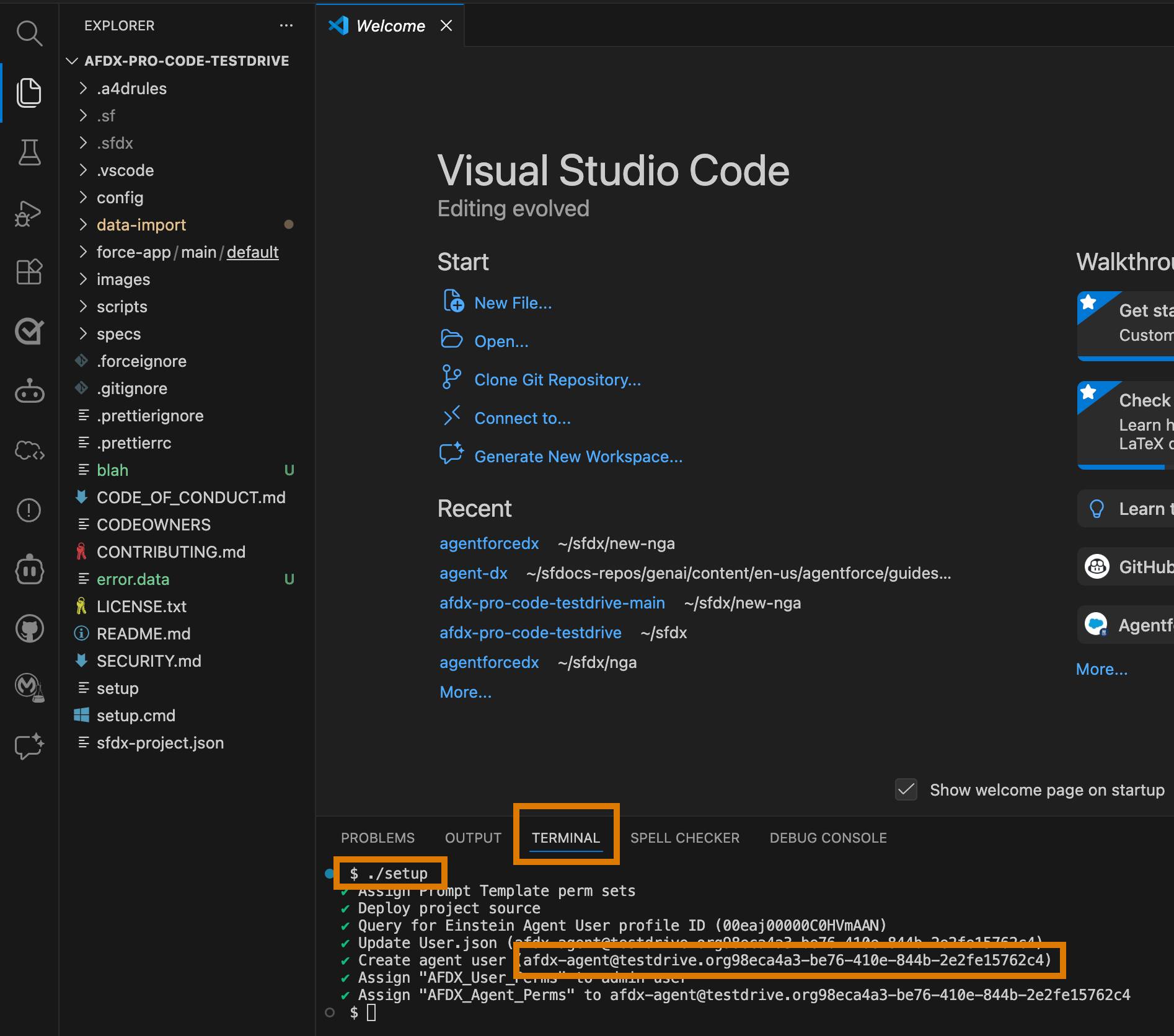 実行中の設定スクリプトと、新たに生成されたユーザー名が強調表示されている VS Code の統合ターミナル。