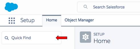 Arrow pointing to the Quick Find textbox in Setup
