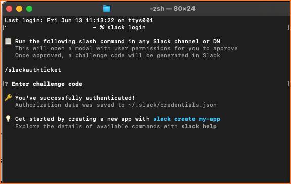 Terminal showing successful authentication, You successfully authenticated! And information about where the authorization data was saved