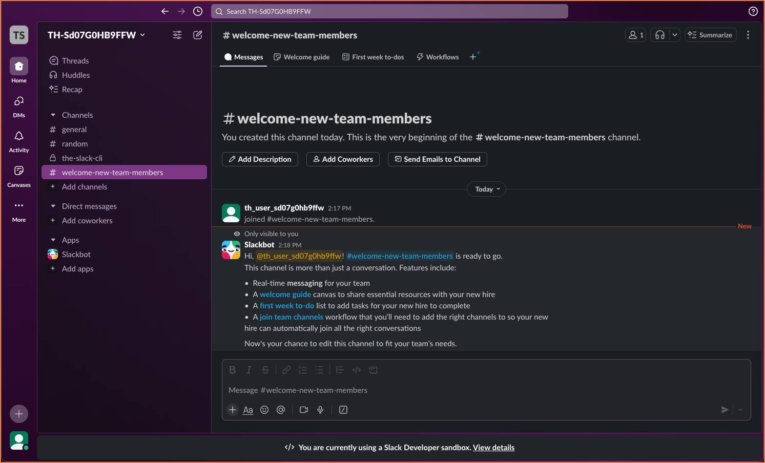 Slack で、#welcome-new-team-members チャンネルが選択され、開いている。