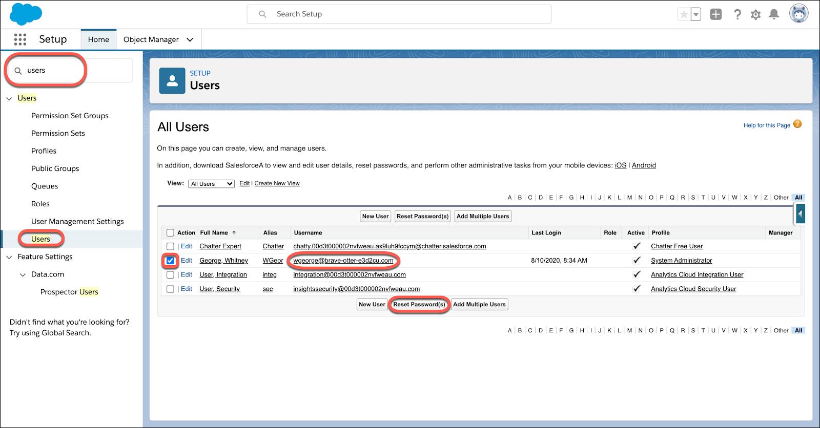 Manage Users page in Salesforce Setup