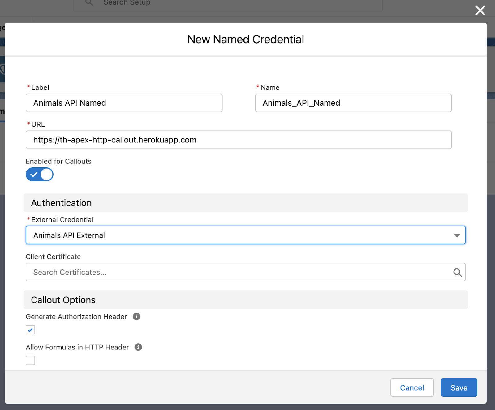 [Label (表示ラベル)]、[Name (名前)]、[URL]、[External Credential (外部ログイン情報)] 項目が前述の手順 3 ～ 6 のとおりに設定されている [New Named Credential (新規指定ログイン情報)] ウィンドウ。