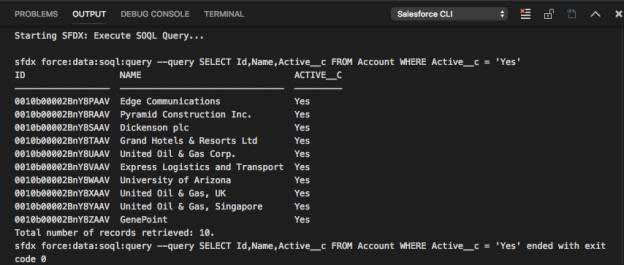 Output(输出)选项卡中显示从 Trailhead Playground 收到的 10 个记录。