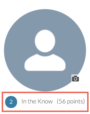 My Profile with Reputation Level and Points