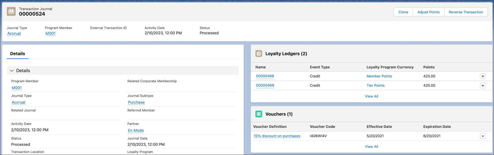 The Transaction Journal record page window where you can review the ledger entries and issued vouchers.