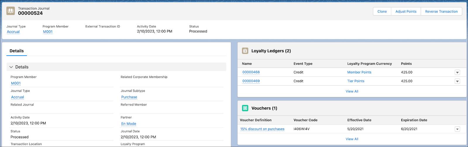 The Transaction Journal record page window where you can review the ledger entries and issued vouchers.