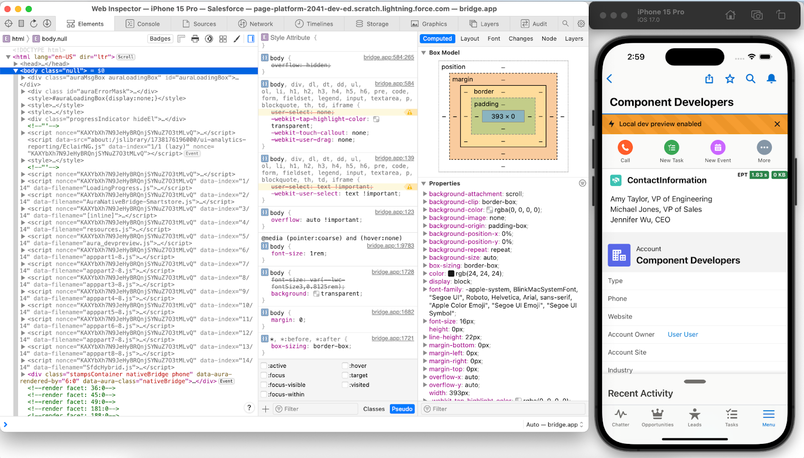 Safari Developer tools.