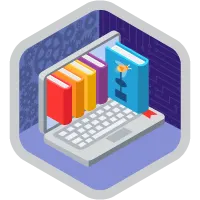 Flow Optimization Superbadge
