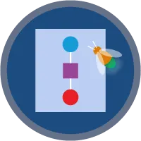 Record-Triggered Flows badge