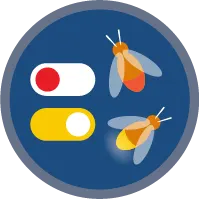 Screen Flows badge