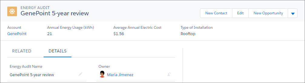 Energy audit record