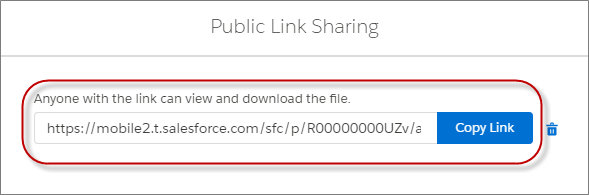 Public link sharing in Salesforce Files