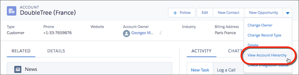 View Account Hierarchy action