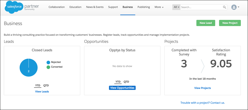 Business tab: leads, opportunies, projects