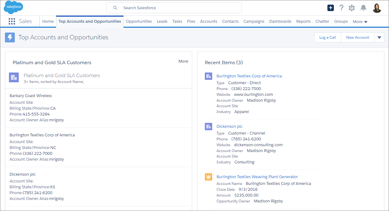Your app page in Lightning Experience