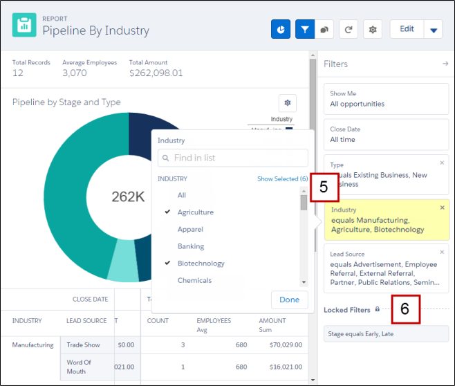 Report Run Page with Chart and Filters