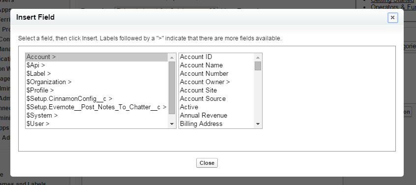 The Insert Field menu.