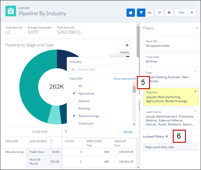 Report Run Page with Chart and Filters