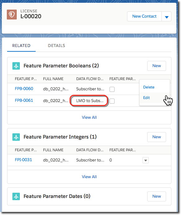 A license record window, where you view and modify feature parameters