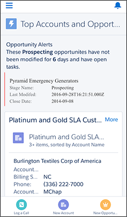 Test Your Custom Component in Salesforce1