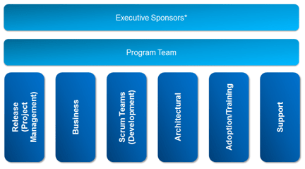 team members by role