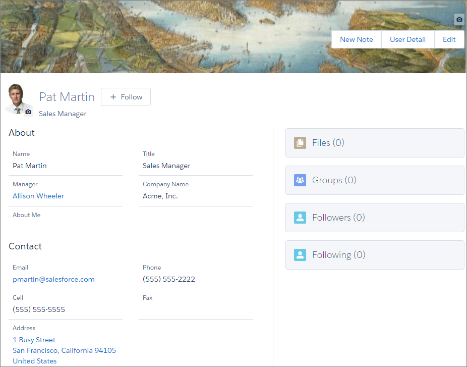 Sample Contact Record Page in Lightning Experience