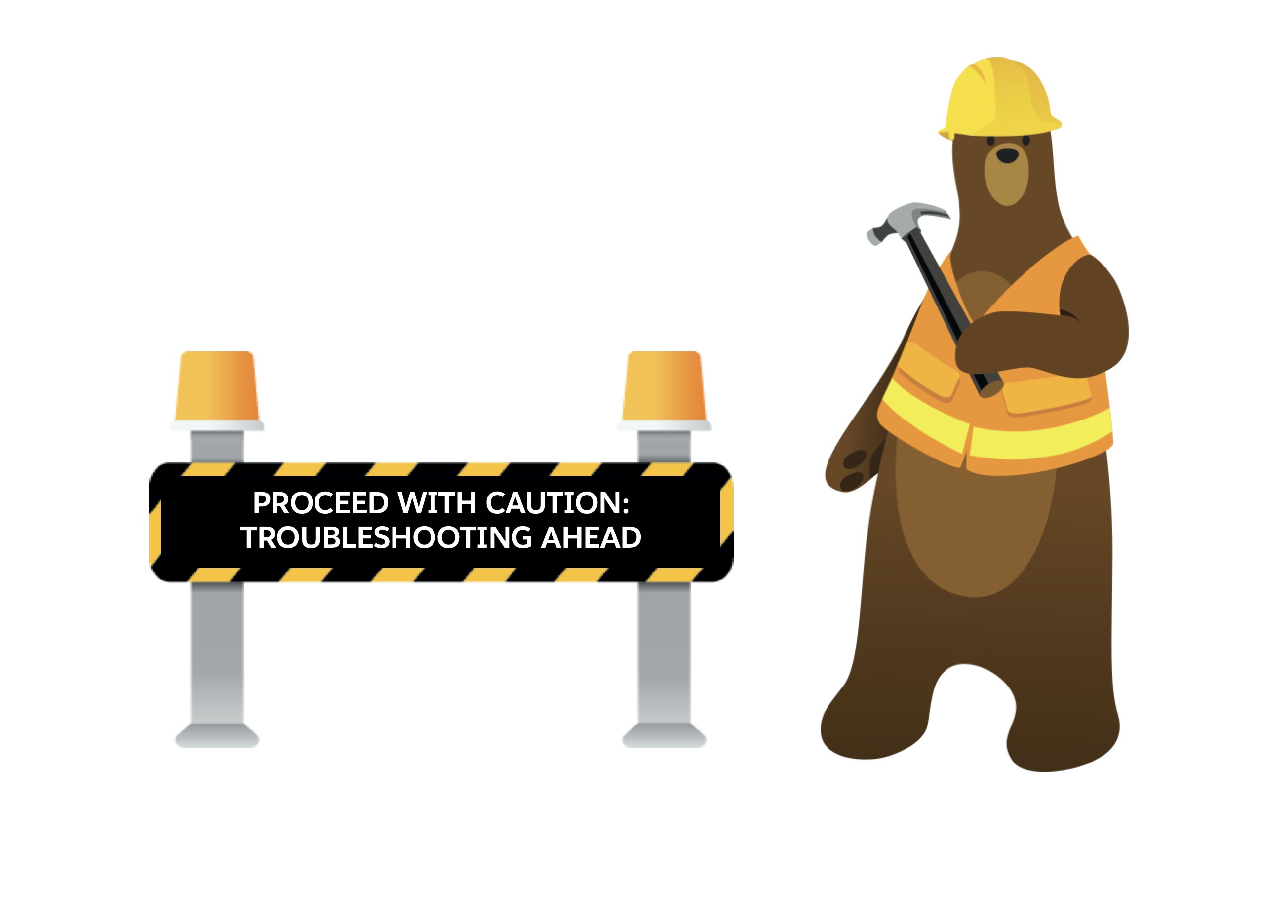 Troubleshoot Realistic Scenarios Salesforce Developers