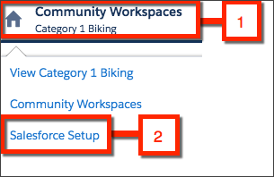 Click Community Workspaces and select Salesforce Setup.