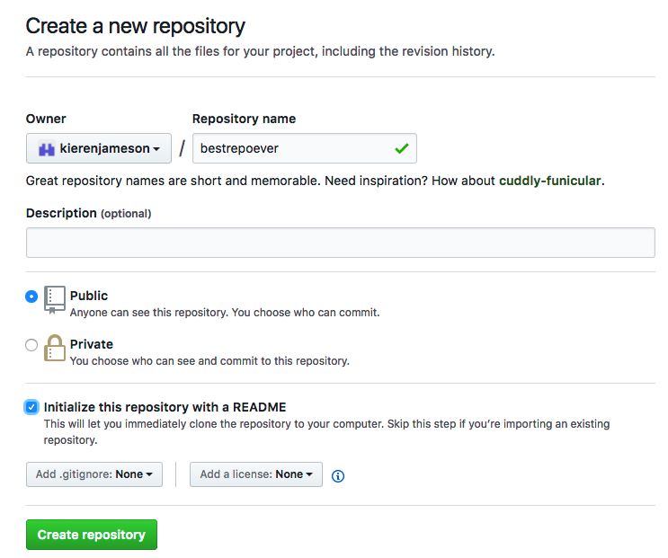 Screenshot of the repository creation screen.