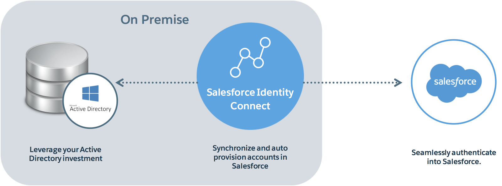 Identity-and-Access-Management-Designer Prüfungsmaterialien