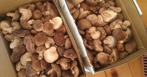 賢いママがやっている3つのメルカリ活用術