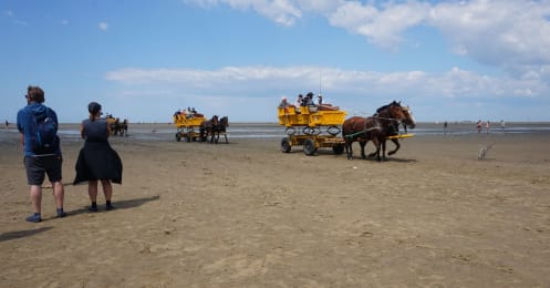 半数が「今年の夏は自宅で」、では旅行するドイツ市民はどこへ？