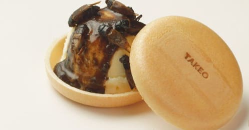 昆虫食ブーム到来？ コオロギが重宝される理由